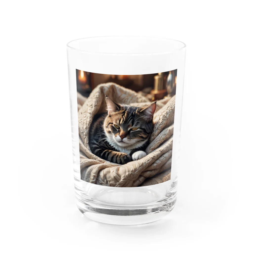 Ten117の眠たい猫 Water Glass :front