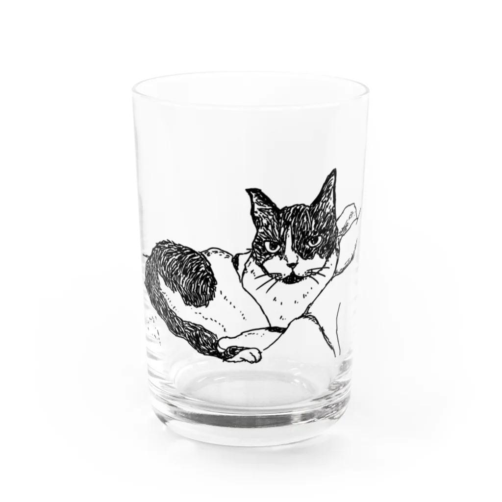 もちけらのにんまり 猫ちゃん。 Water Glass :front