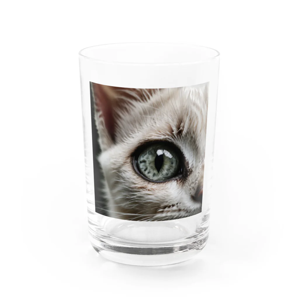 Suminekoのドアップ猫さん Water Glass :front