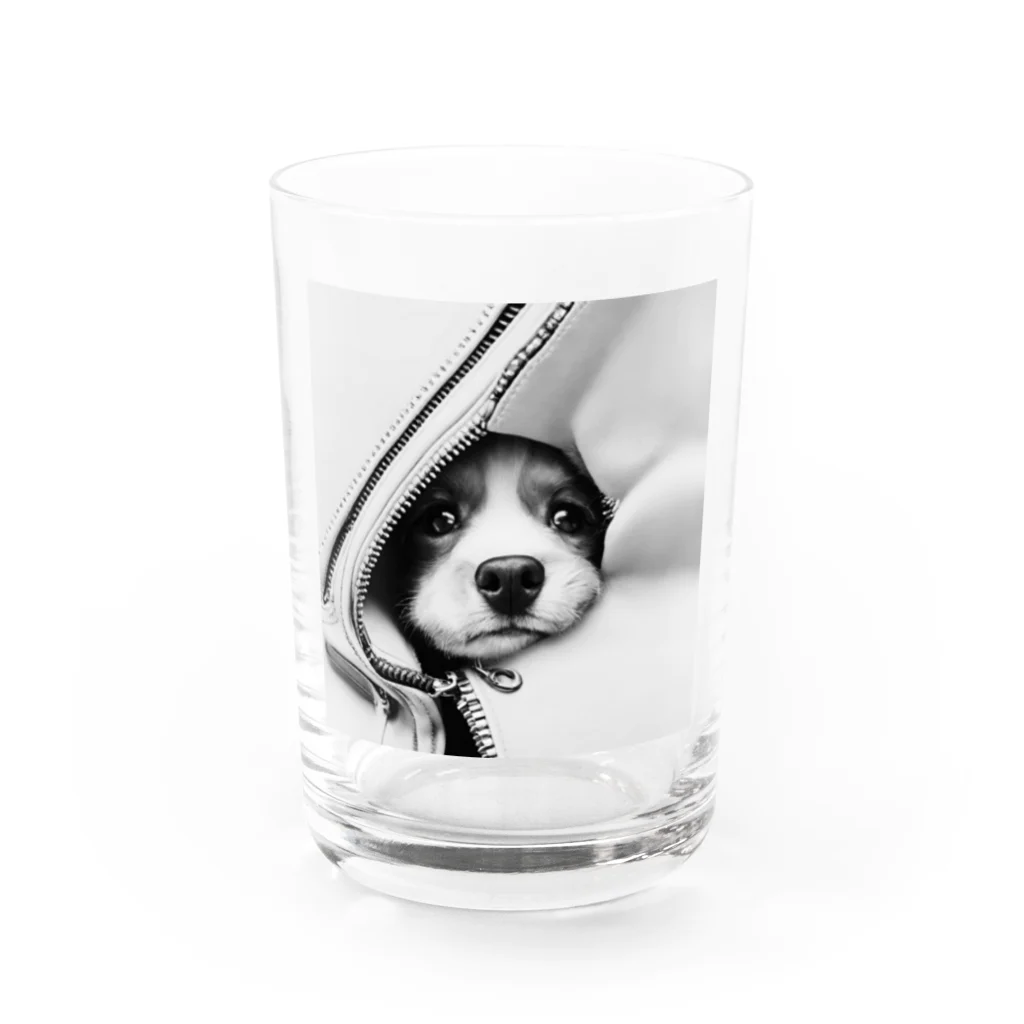 nakasato1979のジッパー犬 Water Glass :front