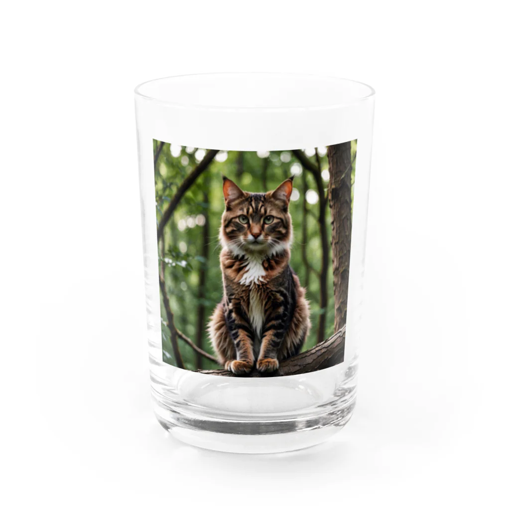 Shigeto Galaxy2hbの森の猫 Water Glass :front