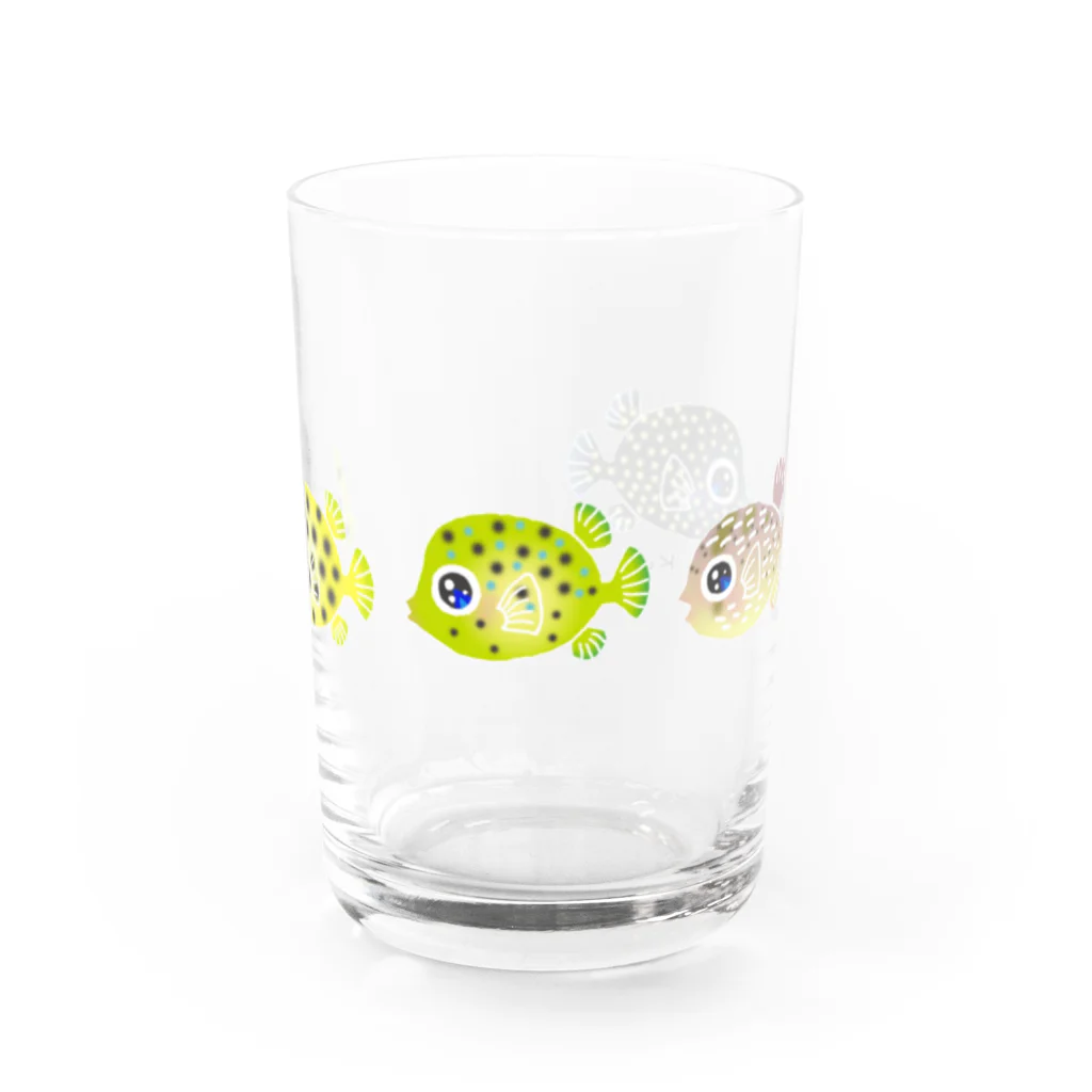 栗坊屋の幼魚だから小さいよ2 Water Glass :front