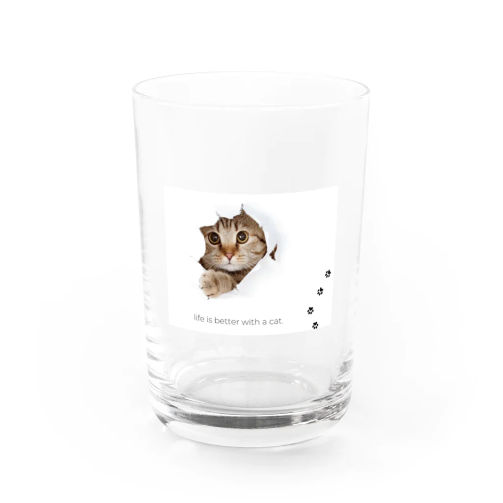 CaTsのふんわりネコ Water Glass :front