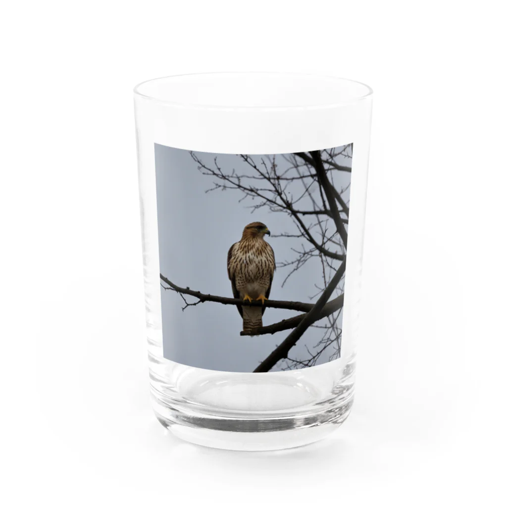 ganeshaの天候の変化に備えるタカ Water Glass :front