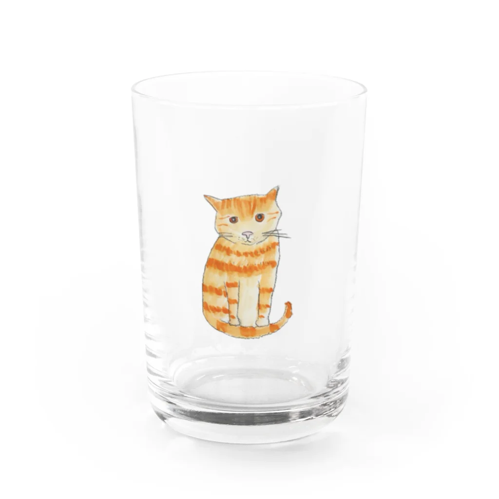 スッポンPONグッズのたわしちゃん Water Glass :front