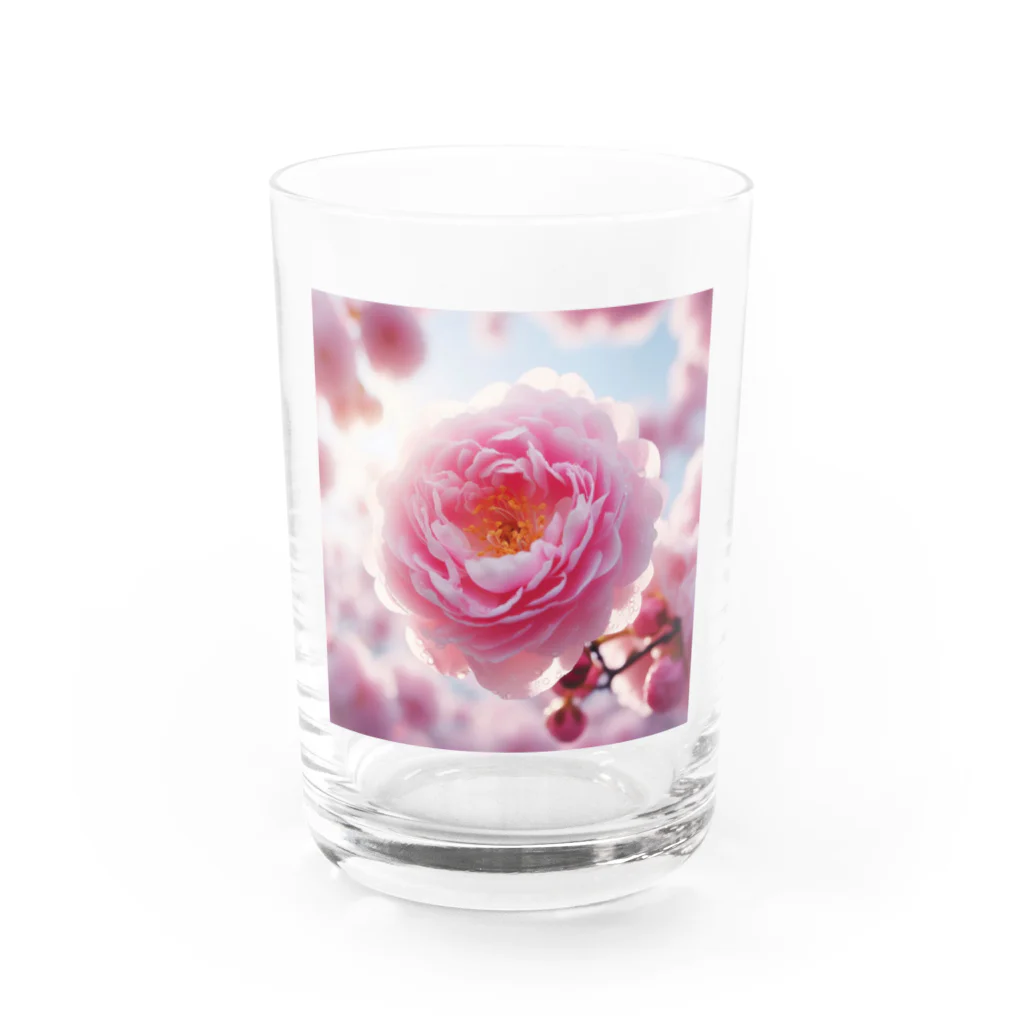 su-toの4月11日の誕生花　八重桜(牡丹桜) Water Glass :front