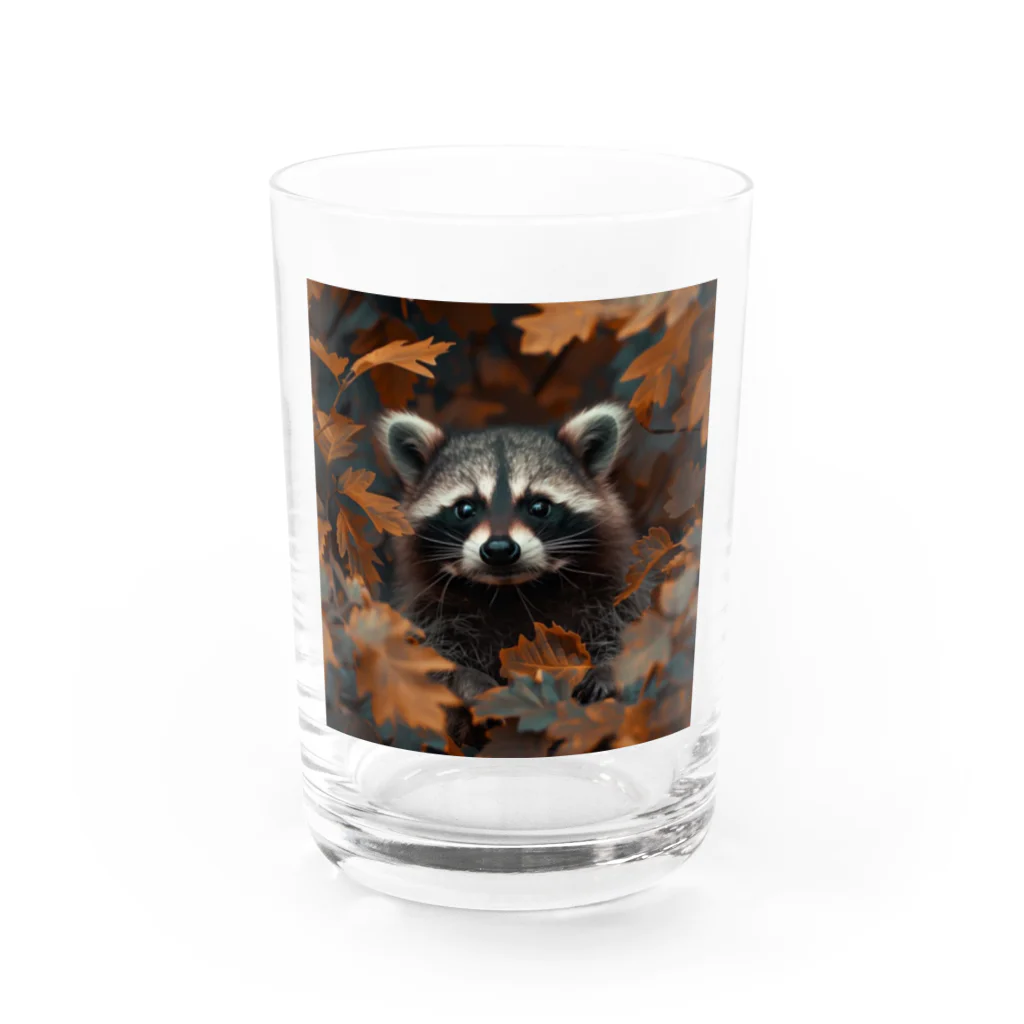 Raccoon Cool PlanetのRaccoon Cool Planet Water Glass :front