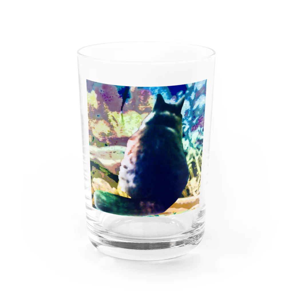 猫に恩返しのTORA'S Watch Party Water Glass :front