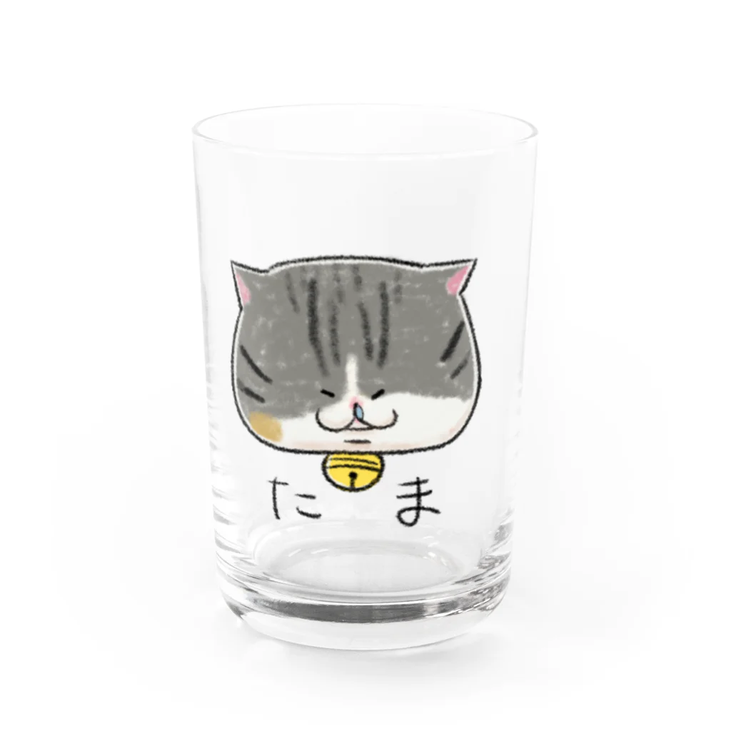 猫のミケランジェロのねこちゃんのグラス Water Glass :front