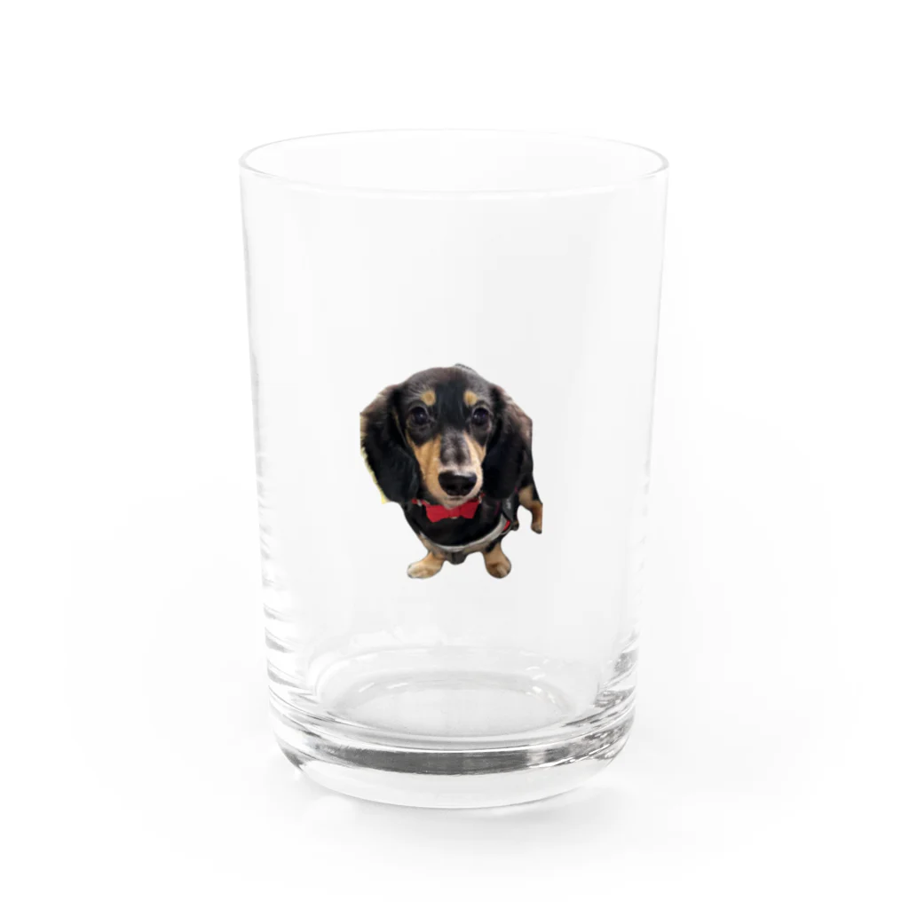 神崎エリカとはやとのグッズのカニンヘンダックスの隼人くん Water Glass :front