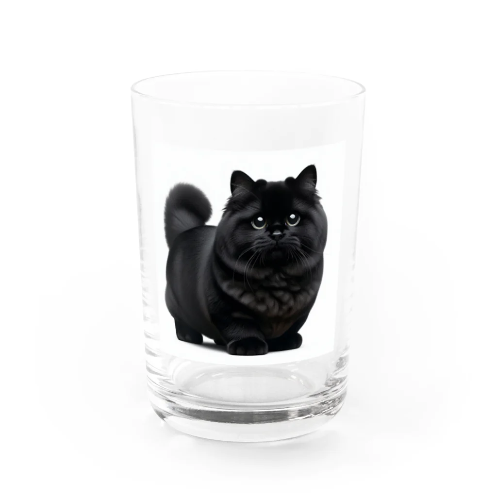 しょっぷトミィの黒猫 グラス前面