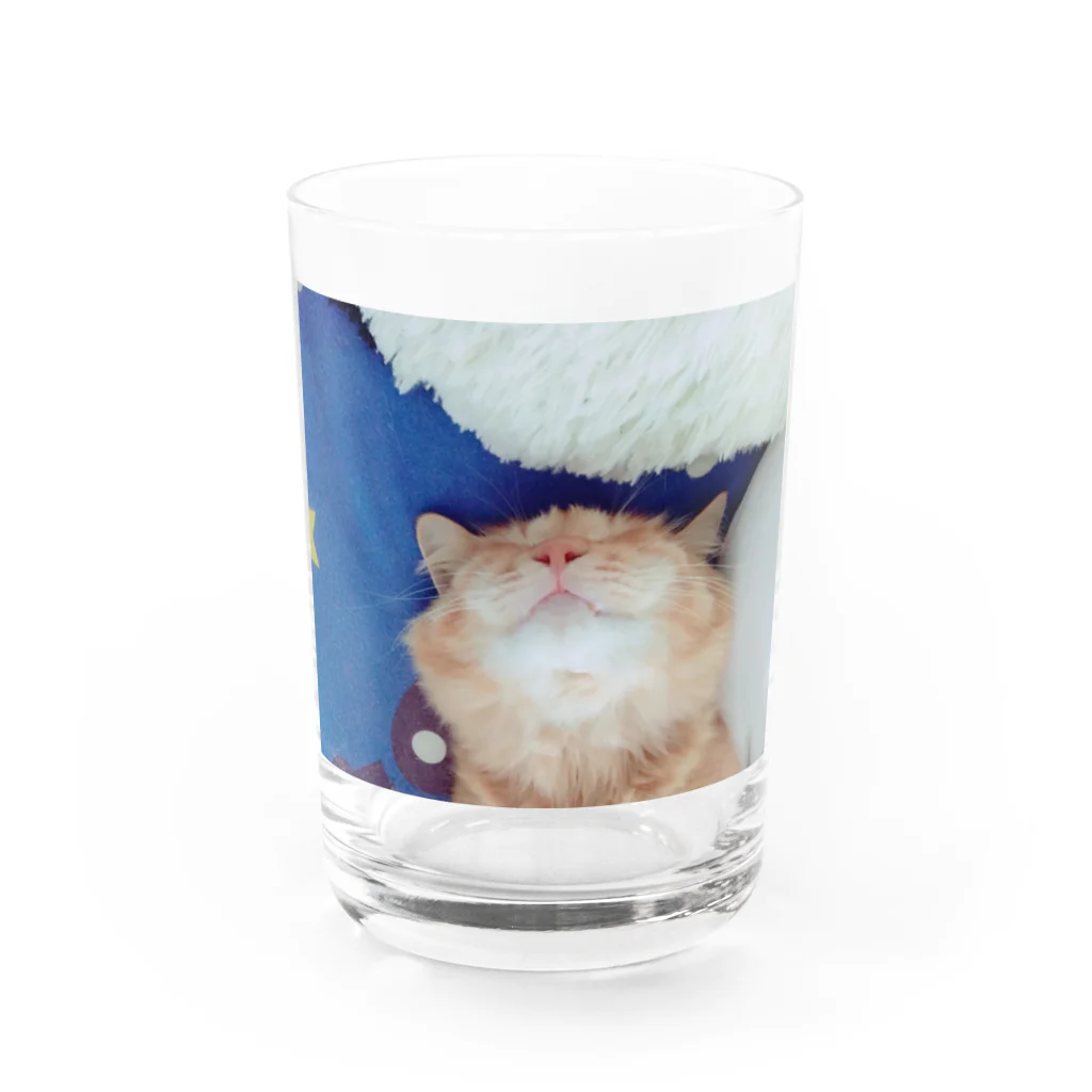 Mizuki・ASIA CATのcoco Water Glass :front