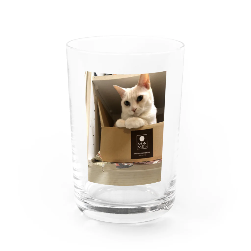 Mizuki・ASIA CATのMILUKU Water Glass :front