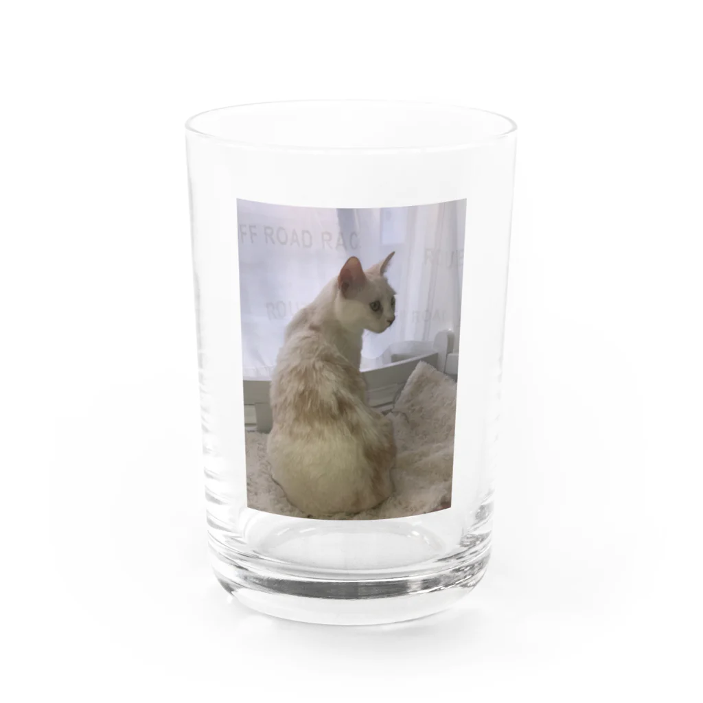 Mizuki・ASIA CATの後ろ美猫MILU🐾 Water Glass :front