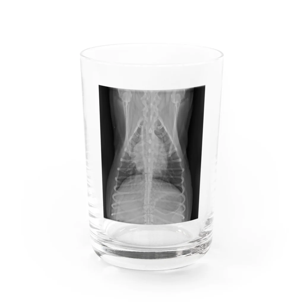 TIARAchanのティアラの胸部 Water Glass :front