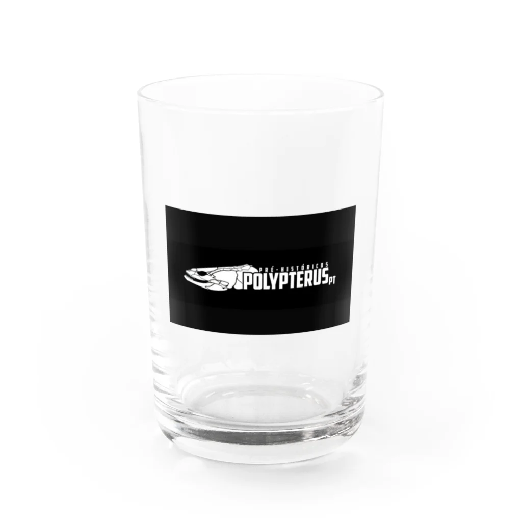 stockboxのポリプテルス グッズ Water Glass :front