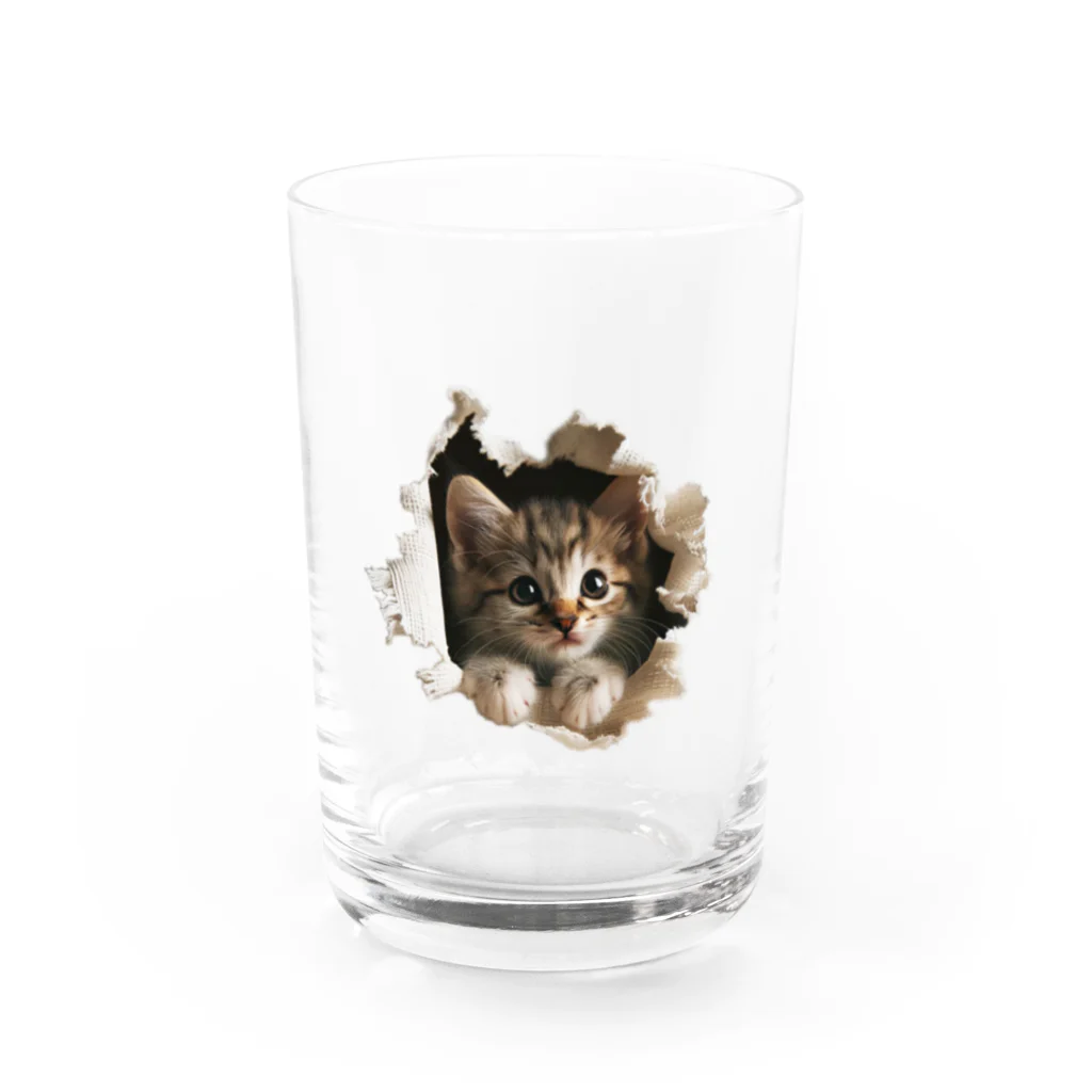 oniyanma64の子猫外を見る Water Glass :front