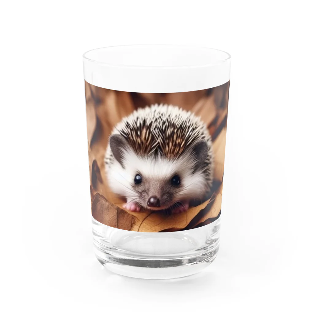 animalsのハリネズミPart2 Water Glass :front