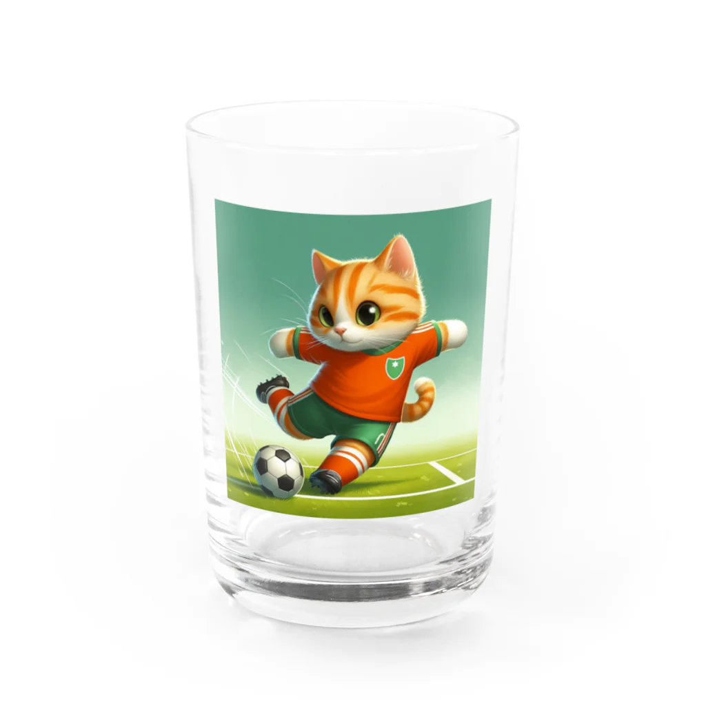 ketapapaのサッカーねこ Water Glass :front