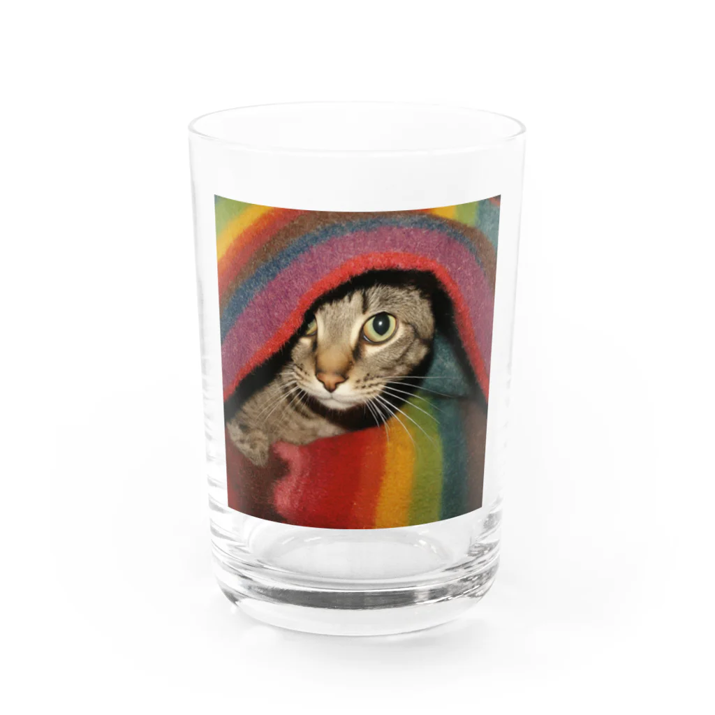 【生涯独身】僕と♀猫アテナのブランケット猫 Water Glass :front