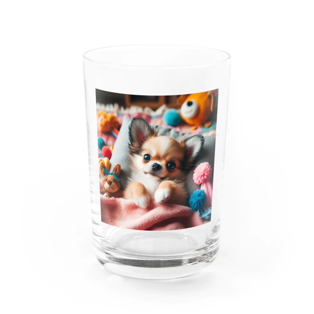 シュシュの部屋のベッドのチワワ （犬、わんちゃん） Water Glass :front