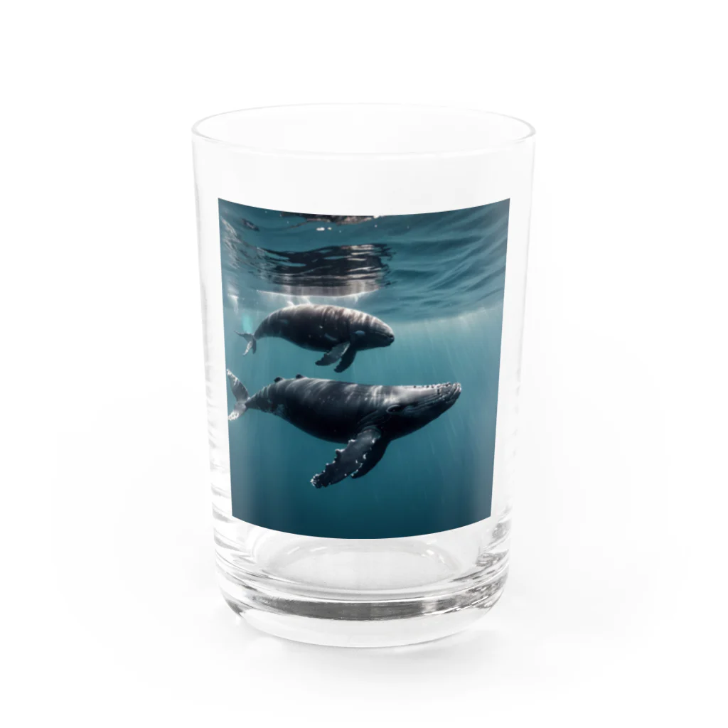 tozaki5573のクジラの親子 Water Glass :front