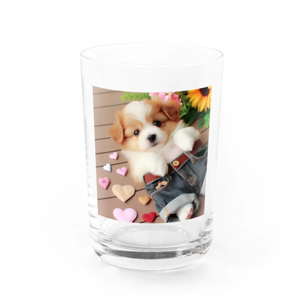 鈴木敏夫のジーパンがかわいいねー犬には　お似合いかも Water Glass :front