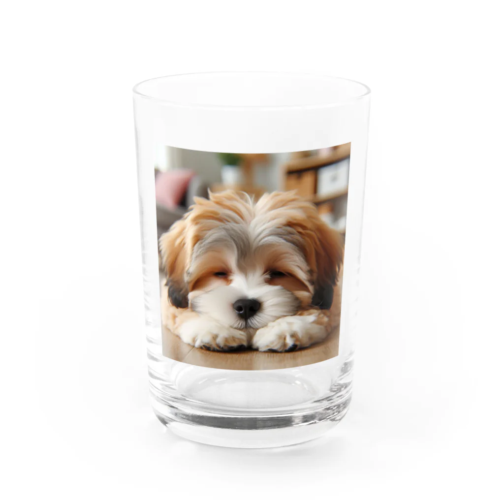 鈴木敏夫の星に願いを願う　わんちゃんー Water Glass :front