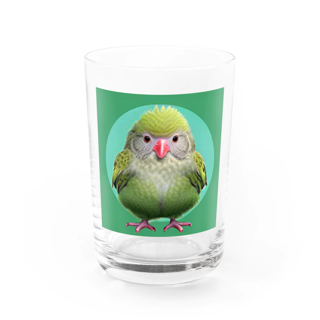 ３の字屋のカカポグッズ Water Glass :front