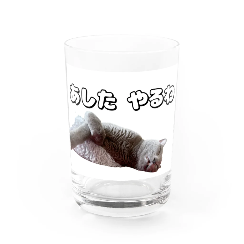 ねこはっぴきの怠惰なねこ（おでぶver.） Water Glass :front