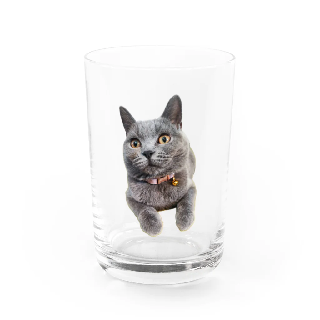 ポルの凛々しいポルさん Water Glass :front