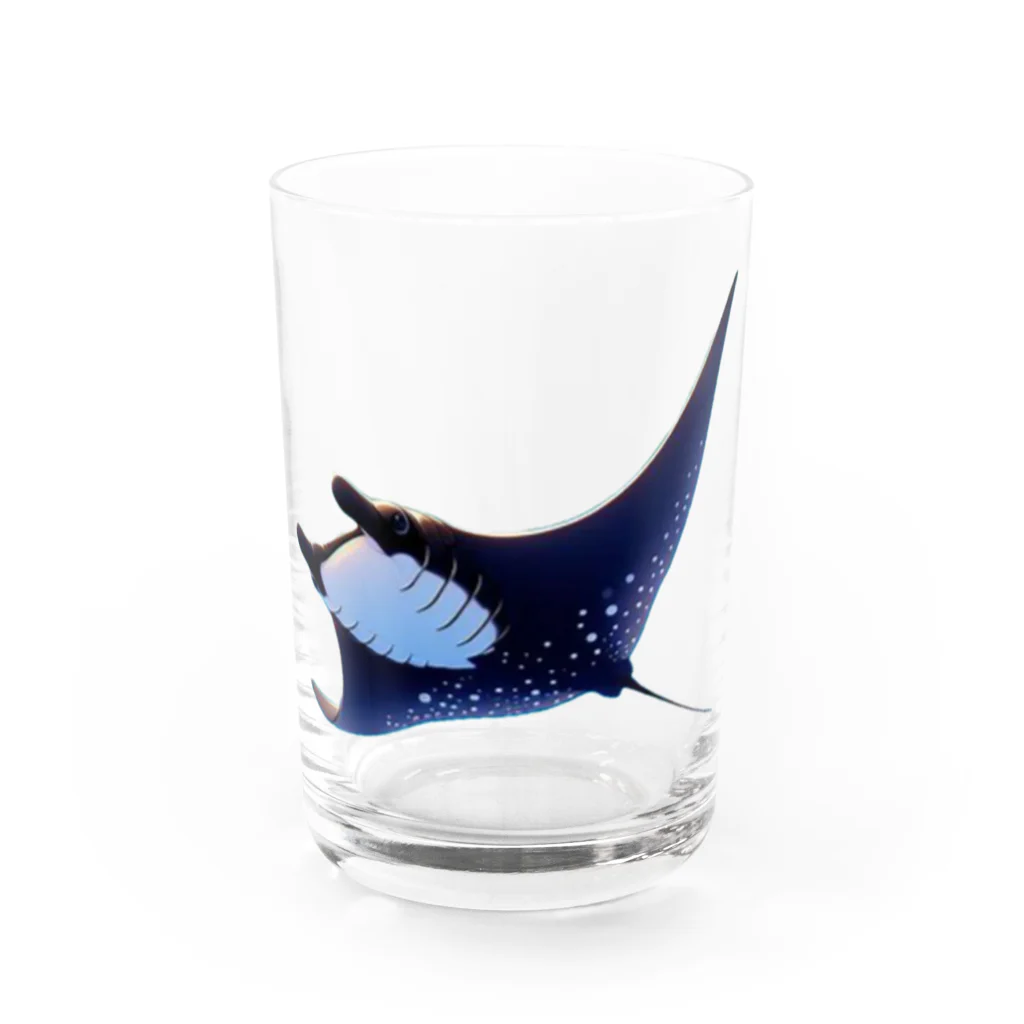 パパリスのクールブラックマンタ Water Glass :front