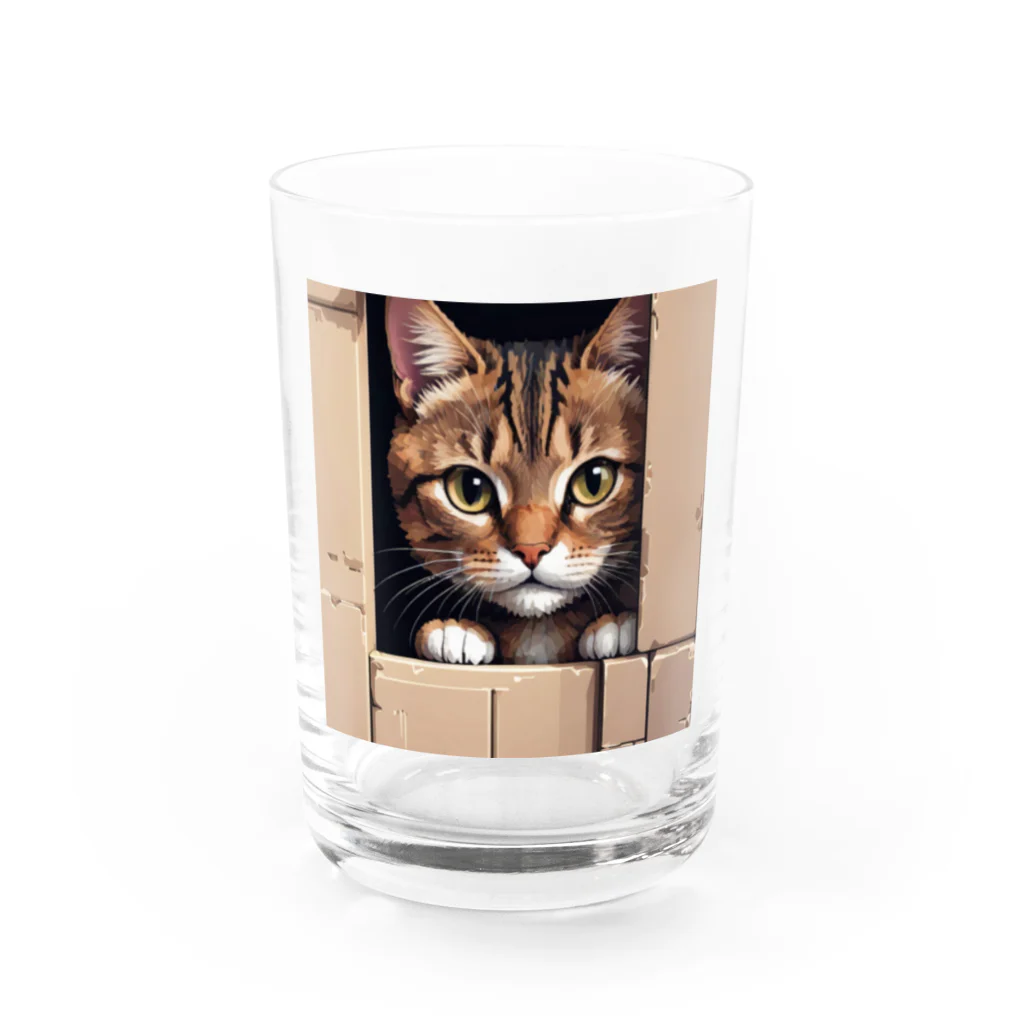 CozyKittyCornerの物陰から観察するかわいい猫 グラス前面