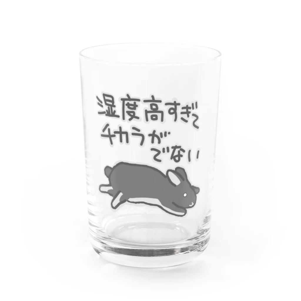 ミナミコアリクイ【のの】の湿度高すぎ【うさぎ】 Water Glass :front