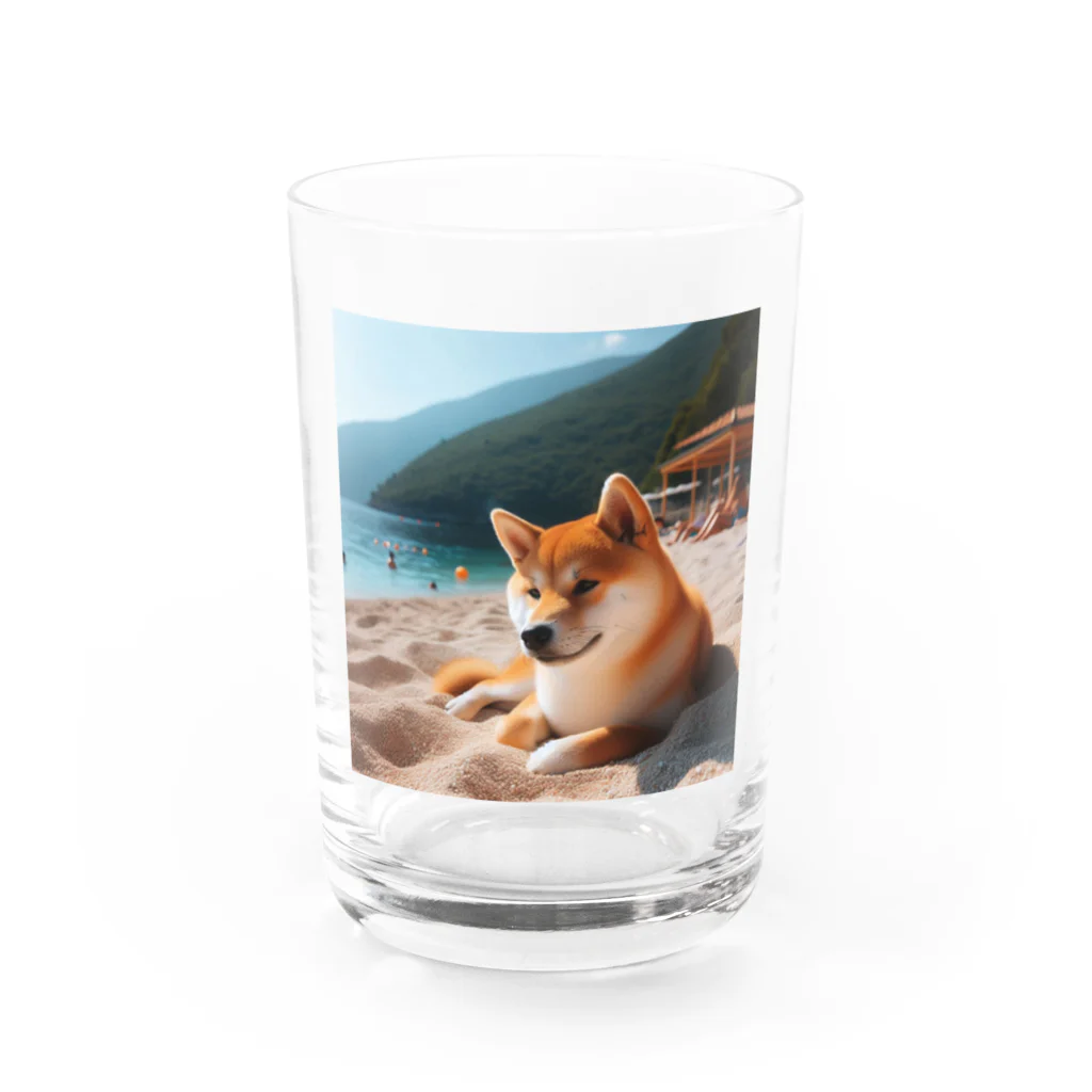 柴犬しばわんこhana873の海でまったりしている柴犬さん Water Glass :front