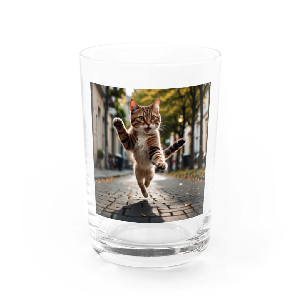 たそがれ！動物村の猫った驚いた Water Glass :front