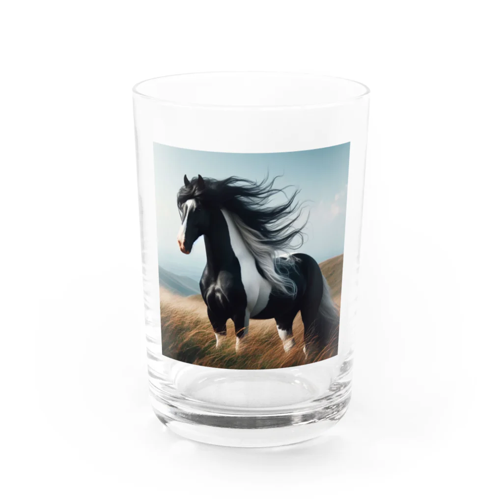 k8646の過酷な環境で育った馬 Water Glass :front