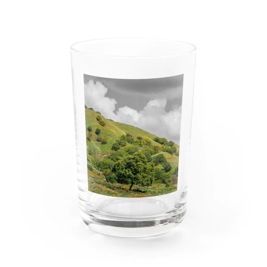 1000のモノクロ_空 Water Glass :front