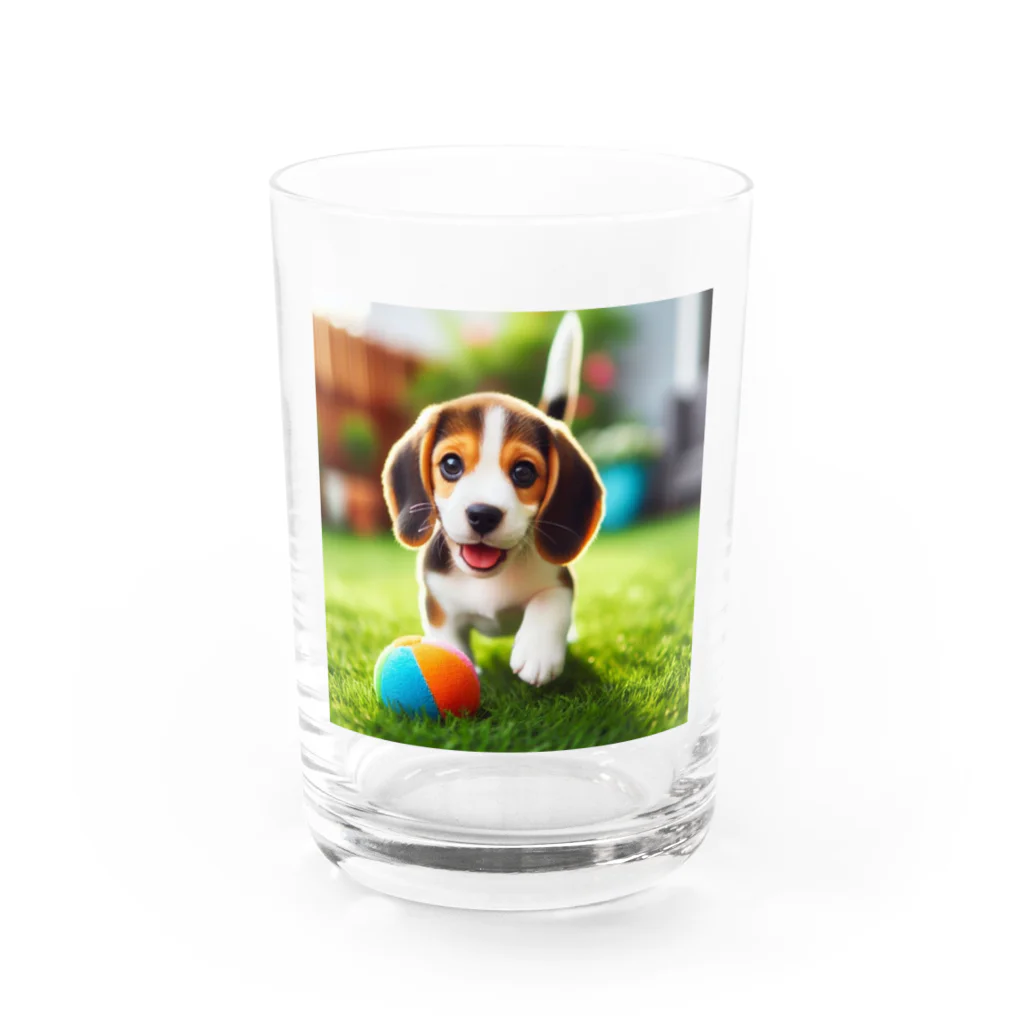 カジノ屋のビーグル犬キキちゃん Water Glass :front