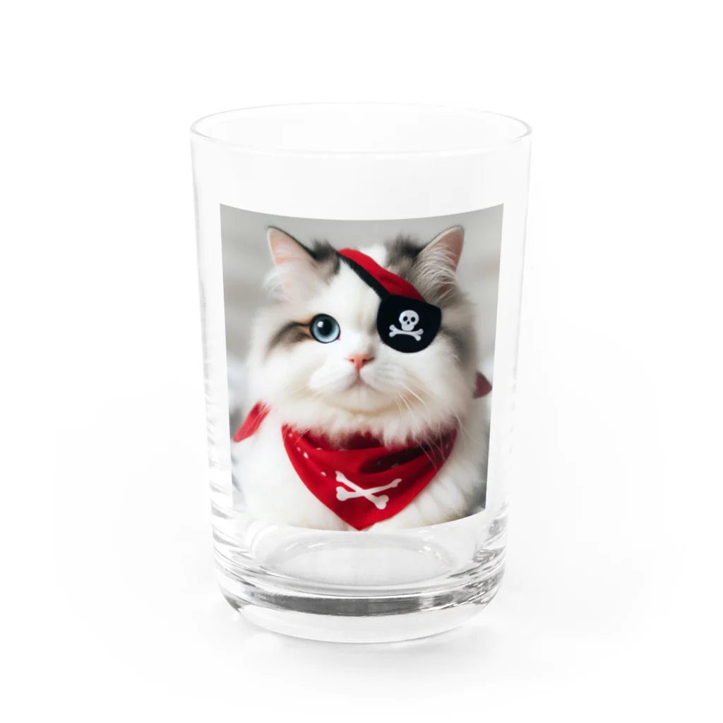 nail_aphroditeの海賊猫ちゃん Water Glass :front