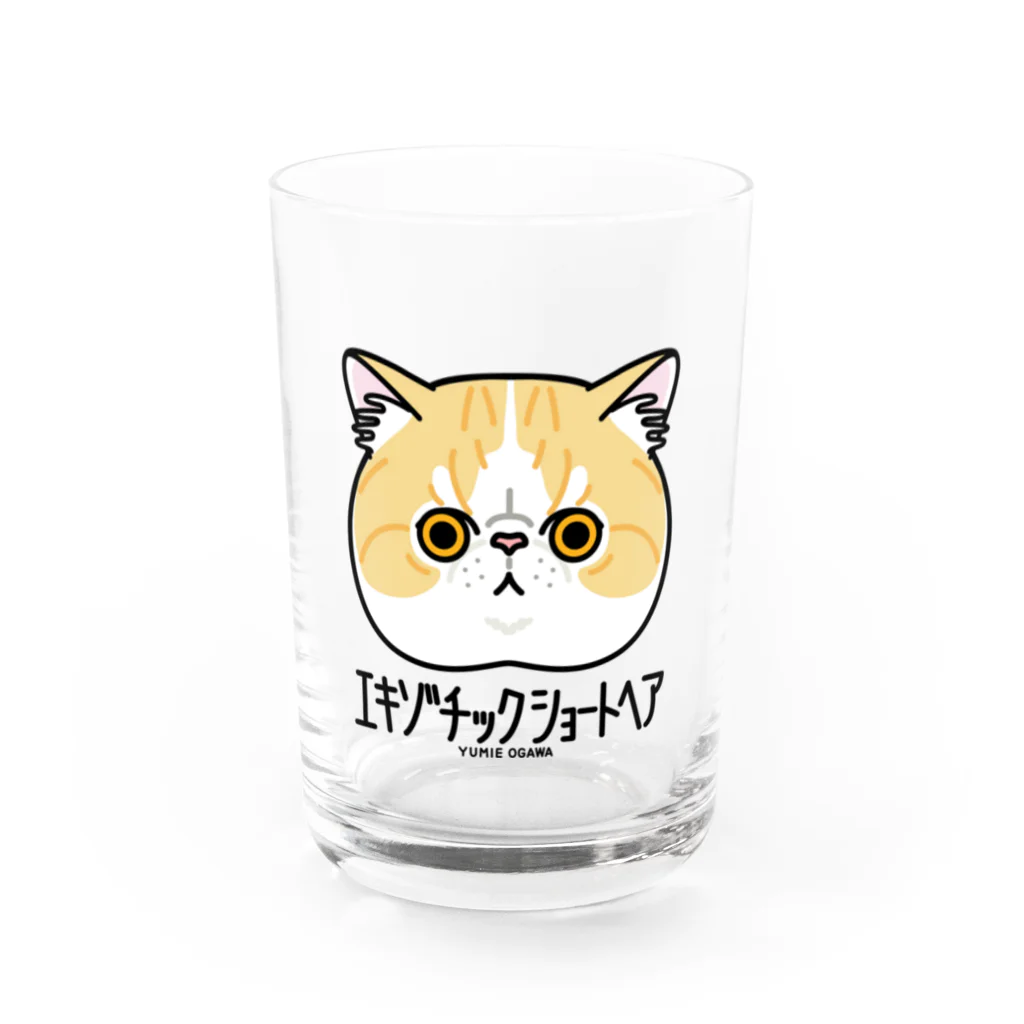 オガワユミエの33エキゾチックショートヘア（キャラ） Water Glass :front