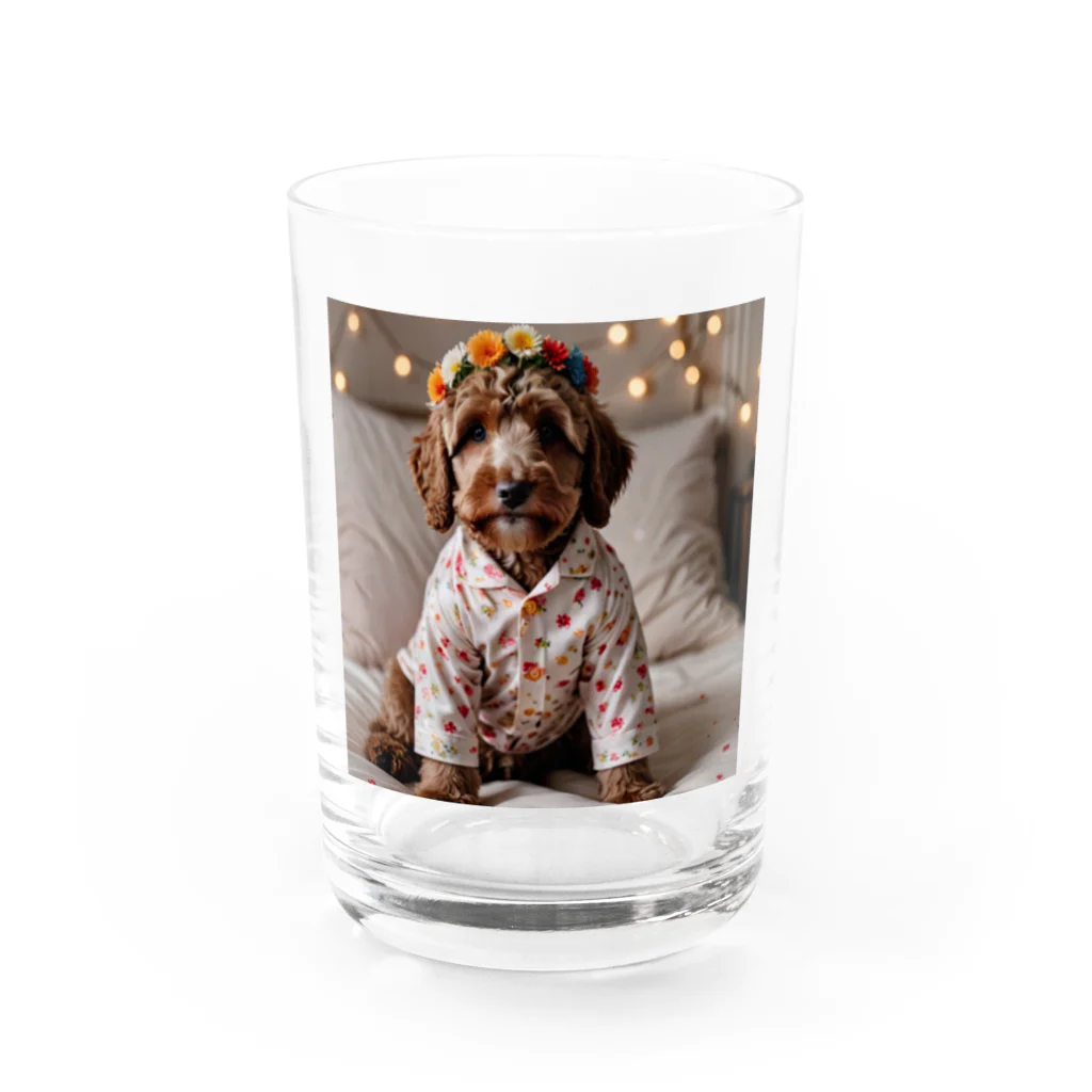 sachisachi_alanのお洋服を着たオーストラリアン・ラブラドゥードル Water Glass :front