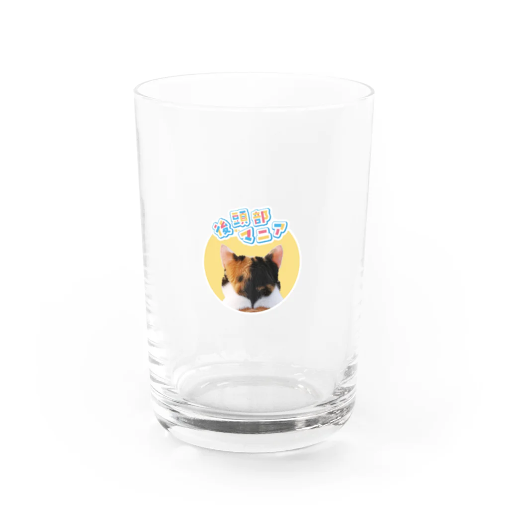 .nekoの後頭部マニア Water Glass :front