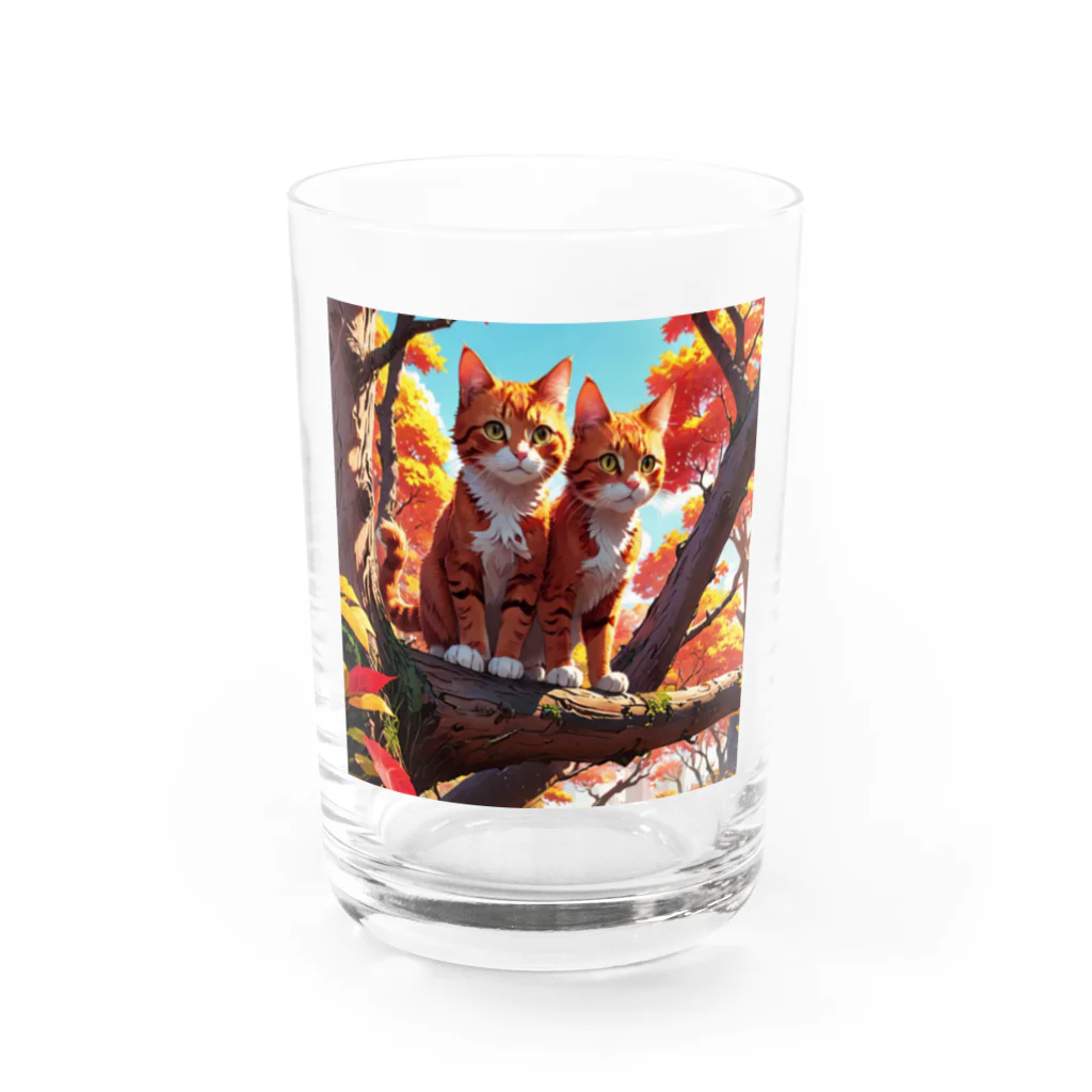 MARU0211の兄弟ニャンコ Water Glass :front