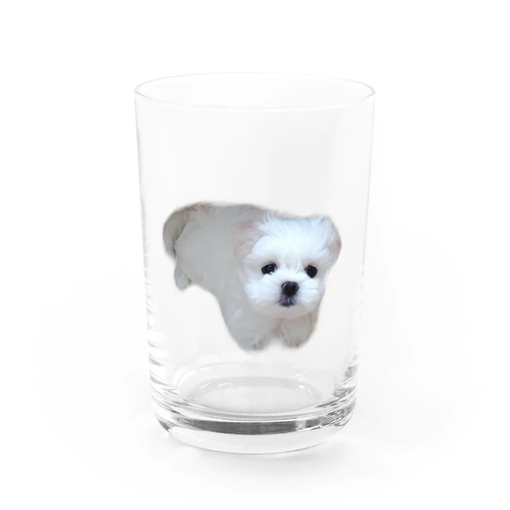 のののののミルクが家族になった日🐶 Water Glass :front