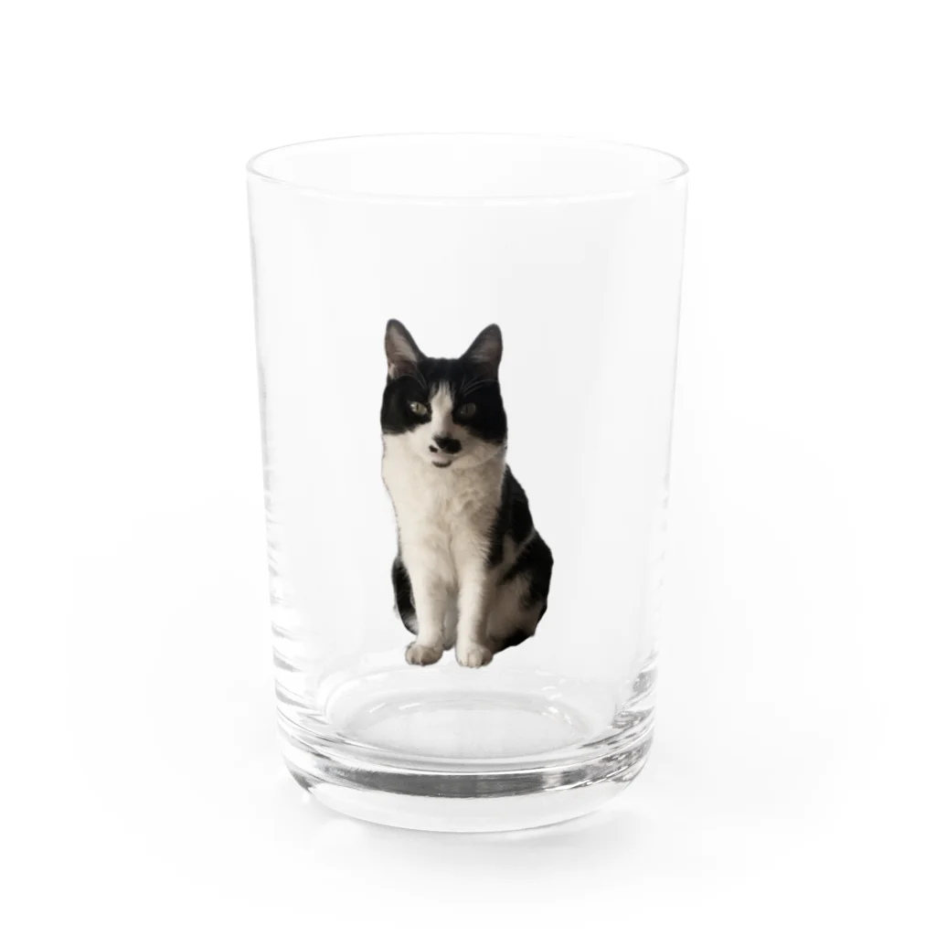 どなえみの姫の可愛いみみちゃん Water Glass :front