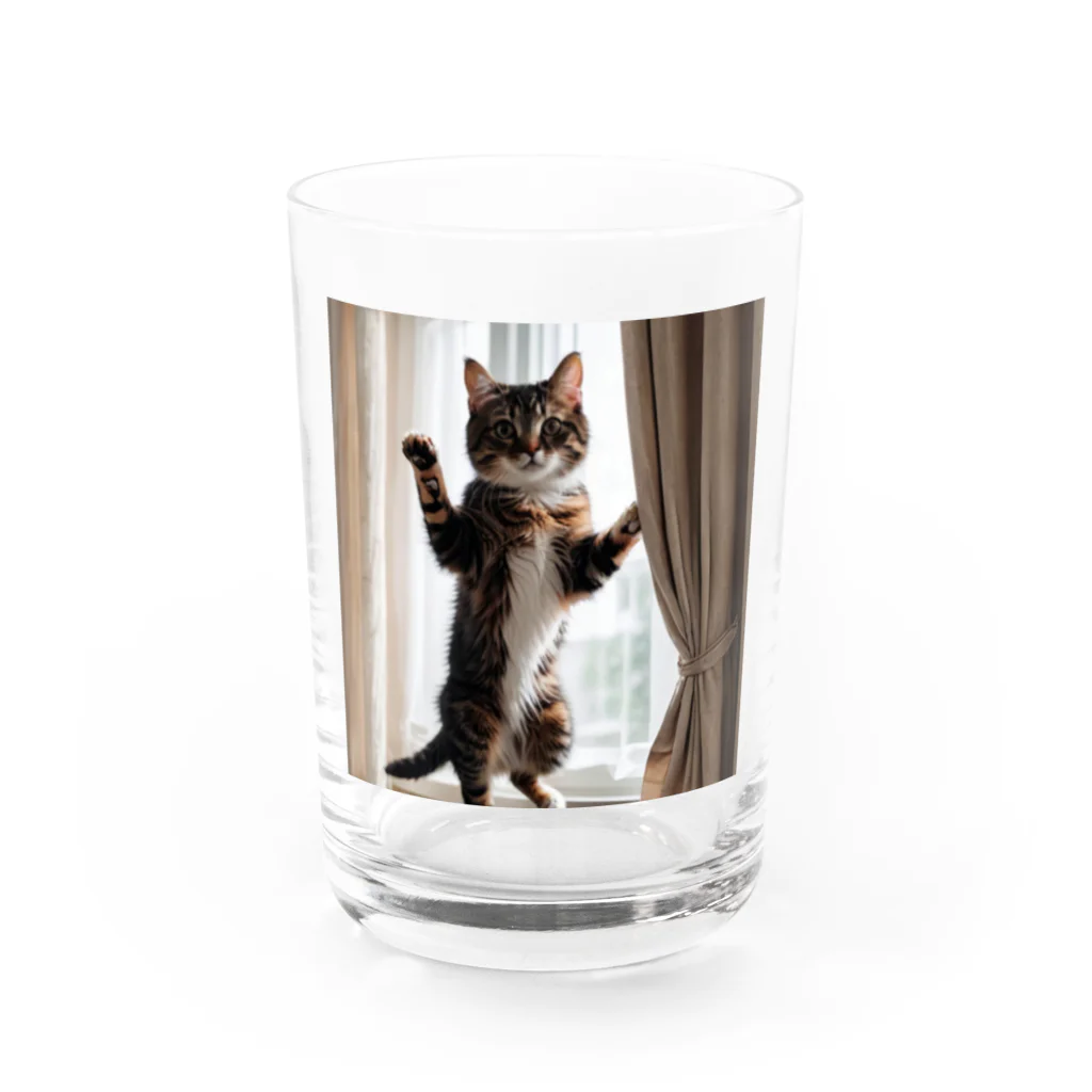 DQ9 TENSIのカーテンと遊ぶ愛らしい猫ちゃん Water Glass :front