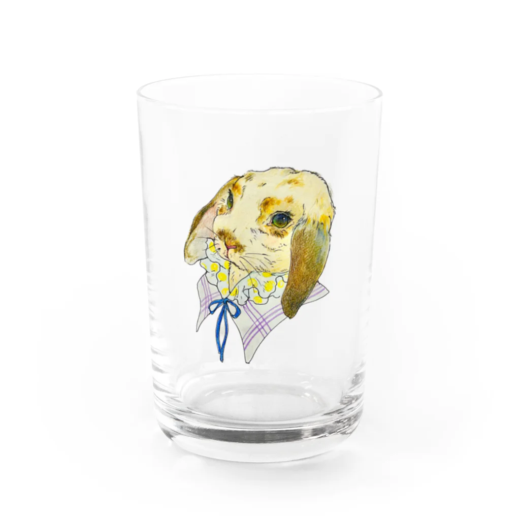 usaginooharikoのロップイヤーのお姉さん Water Glass :front