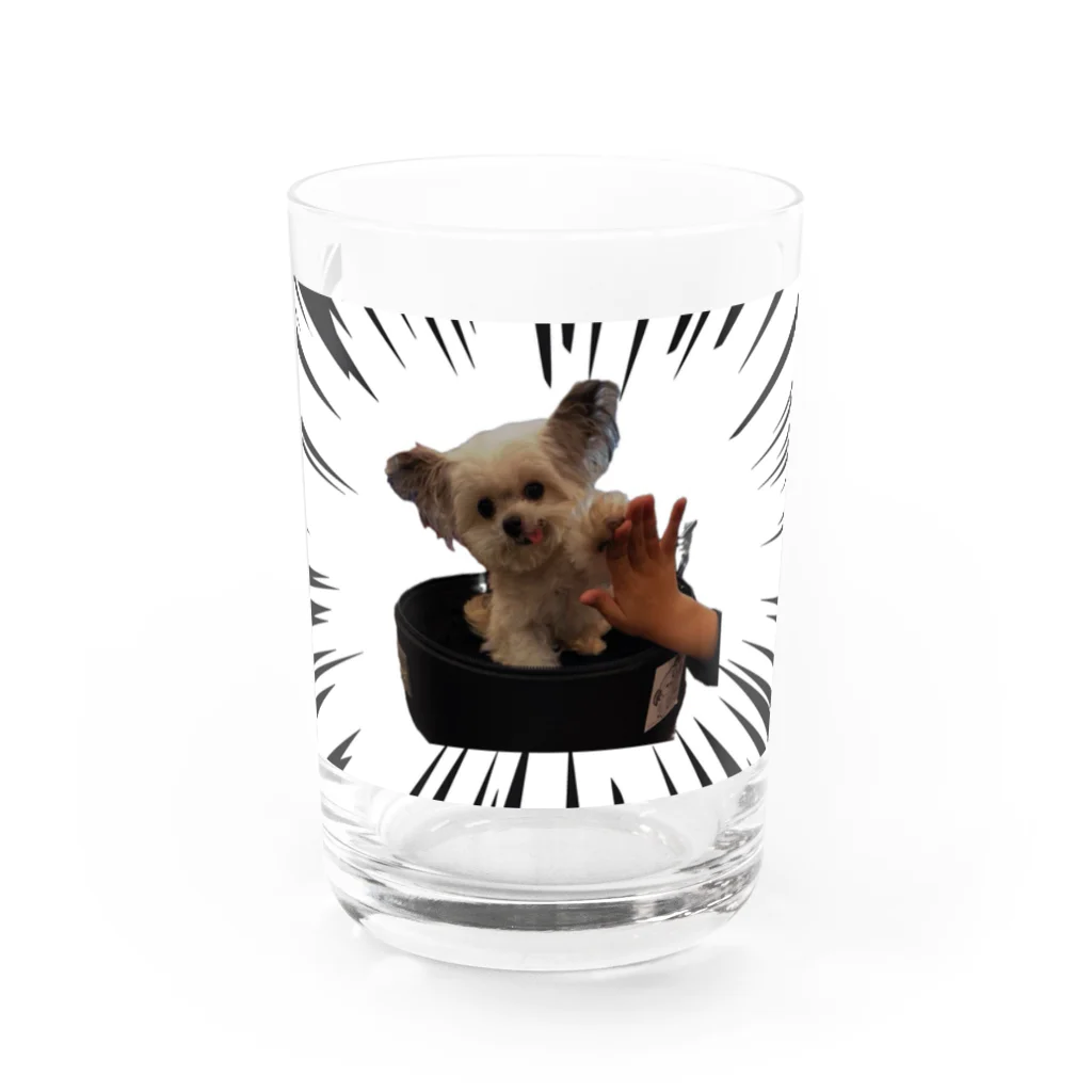 るるの店の迫力ある可愛犬 Water Glass :front