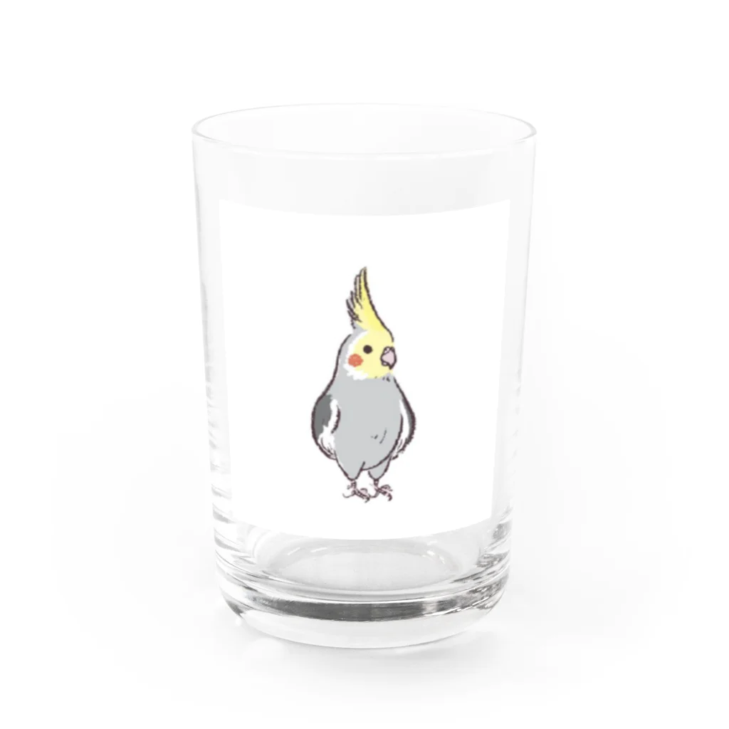 paguyoのオカメインコRocky Water Glass :front